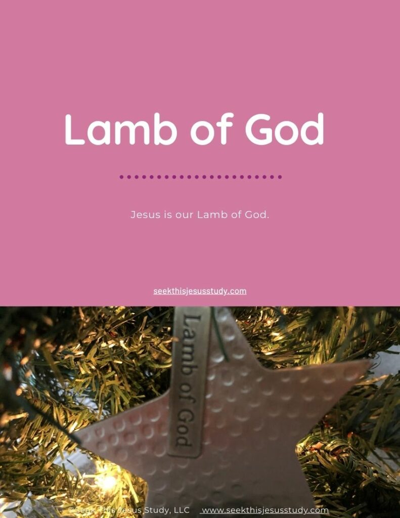 LAMB OF GOD “Believe On My Name” (PDF) Printable LDS Study Guide