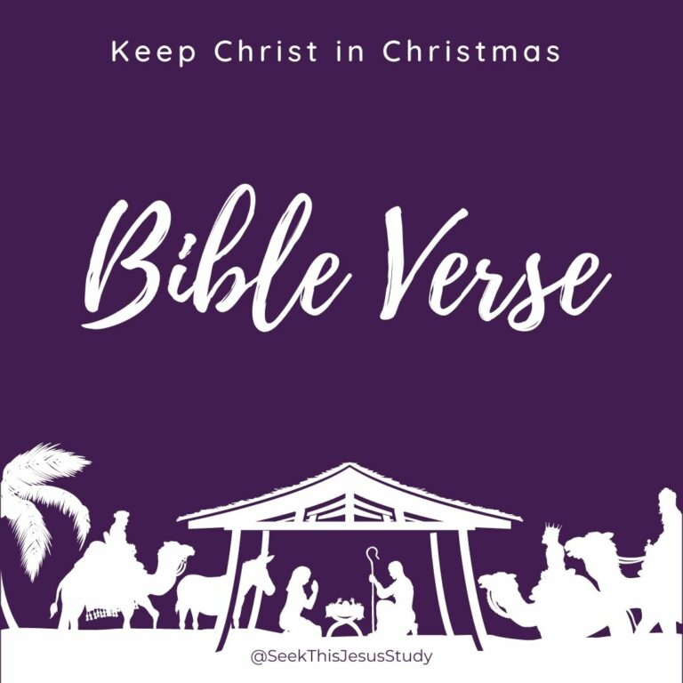 The Word: Keeping Christ in Christmas Day #1 - Seek This Jesus Study