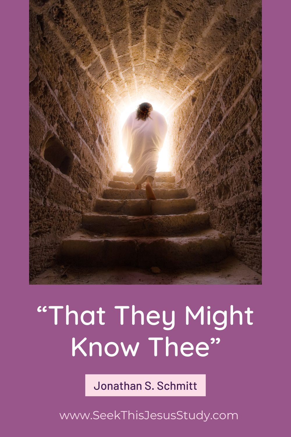 that-they-might-know-thee-by-jonathan-s-schmitt-seek-this-jesus-study