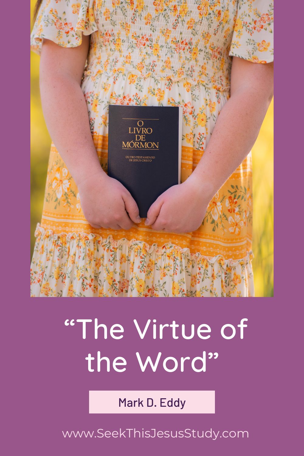 the-virtue-of-the-word-by-mark-d-eddy-seek-this-jesus-study