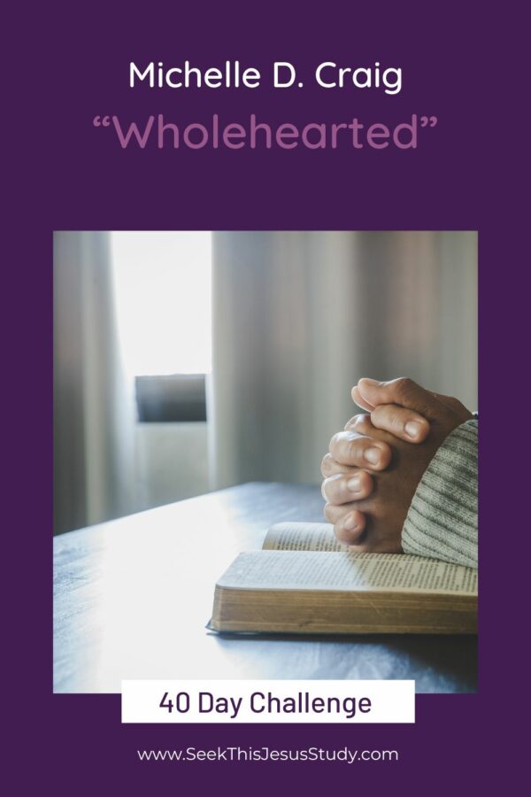 Wholehearted By Michelle D. Craig 4 600x900 
