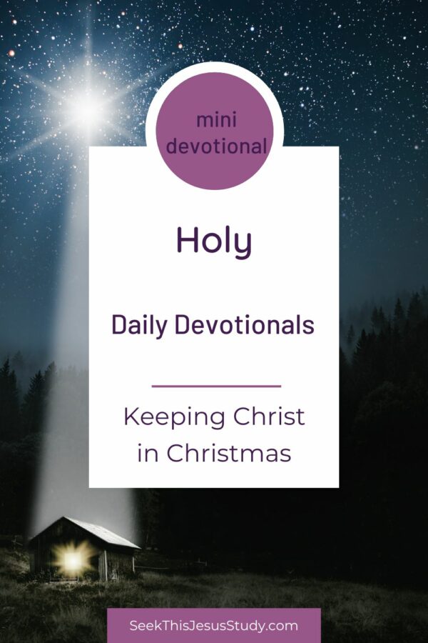 Holy Keeping Christ in Christmas Day 10 Seek This Jesus Study