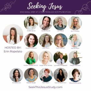 SUMMIT: Spring 2023 Seeking Jesus VIP Access