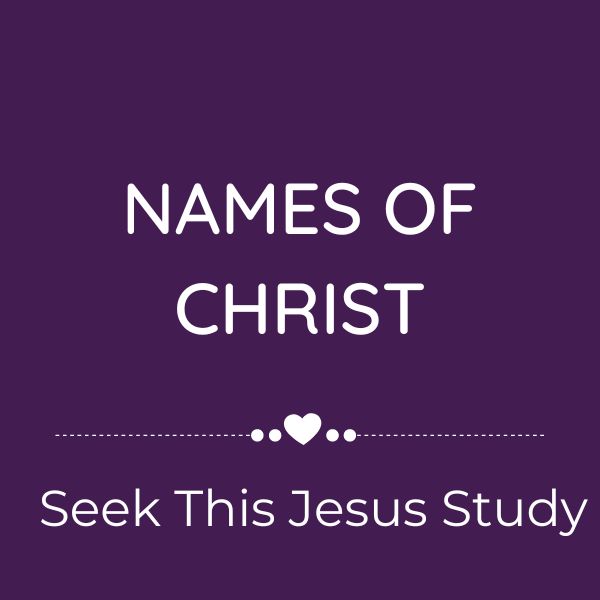 Shop - Seek This Jesus Study