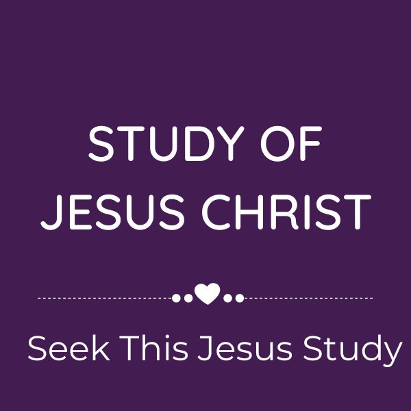 Shop - Seek This Jesus Study