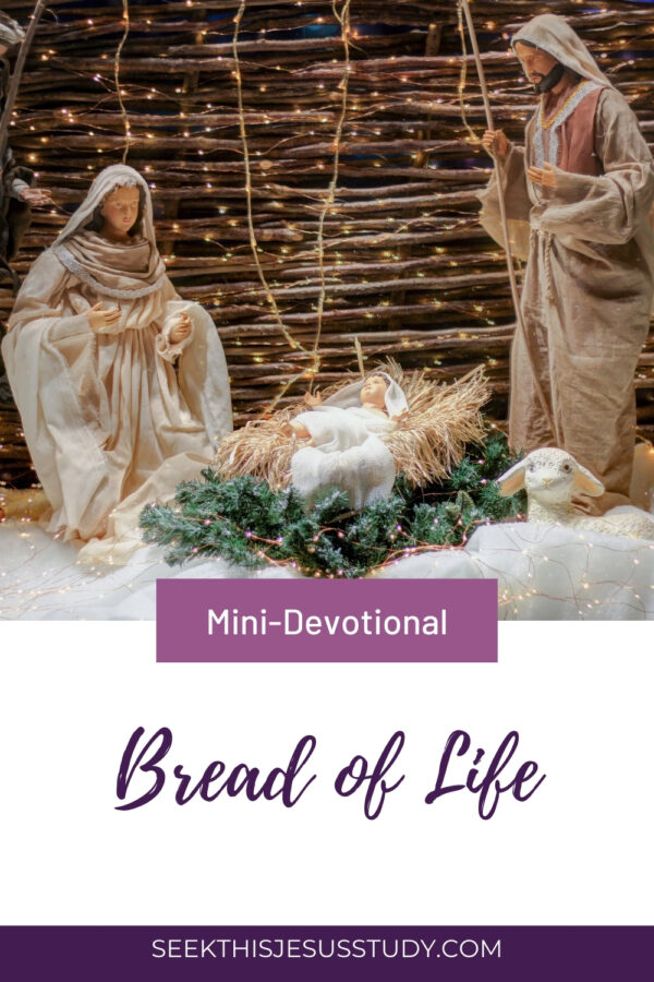 Bread of Life: Name of Christ Devotional to Keep Christ in Christmas ...