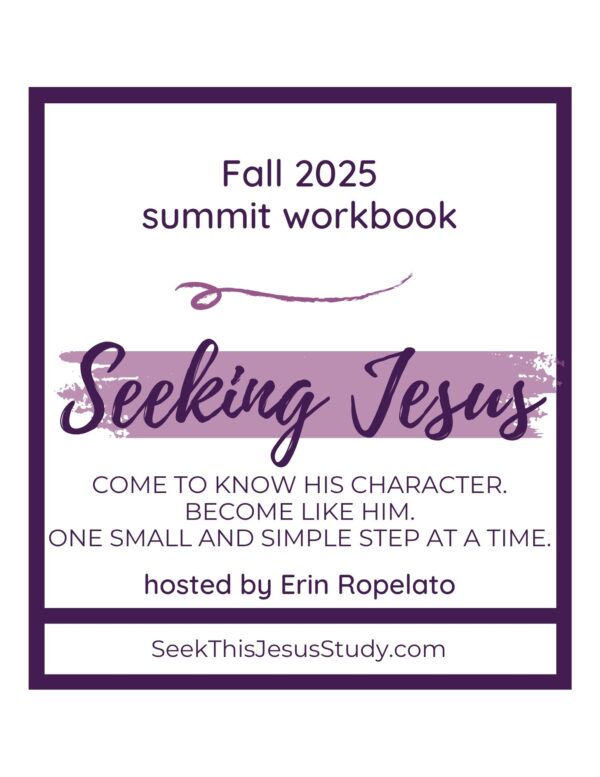 SUMMIT: Fall 2025 Seeking Jesus VIP Access - Image 2