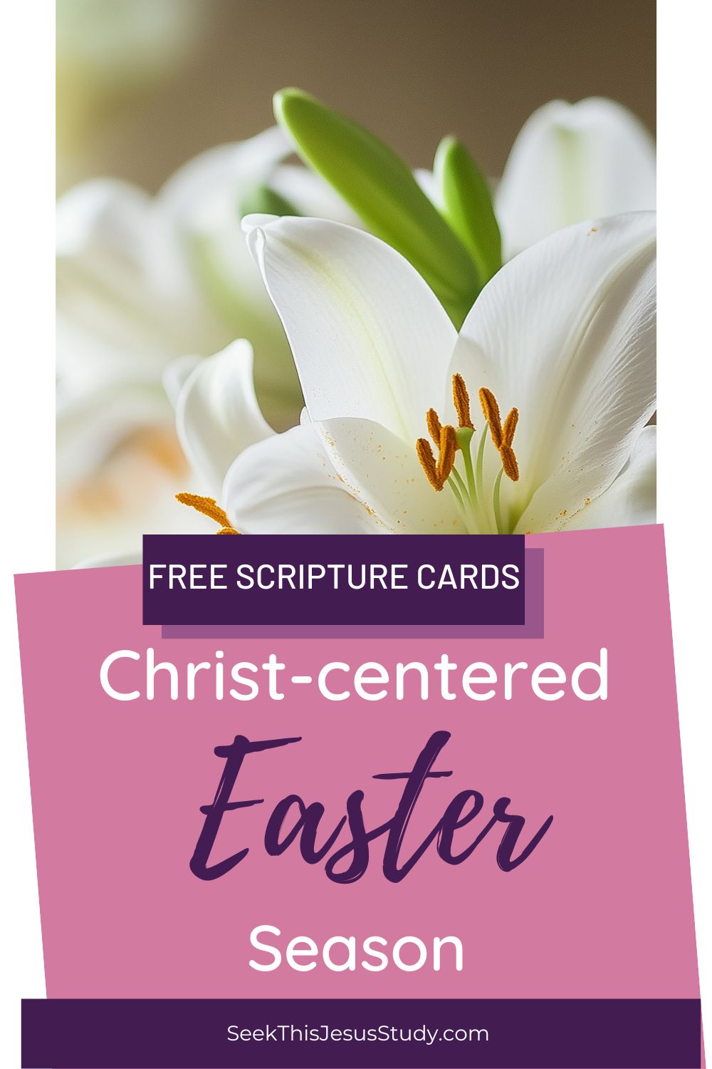 Keeping Christ in Easter: 40 Simple Scripture Cards for a Meaningful ...