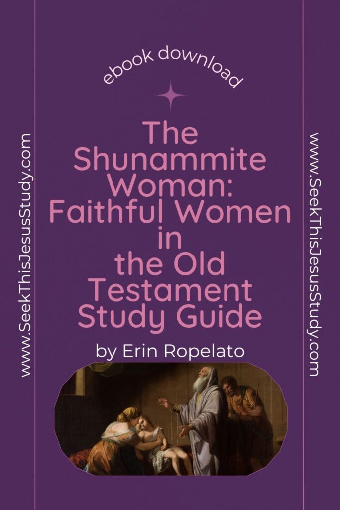 Book cover for 'The Shunammite Woman: Faithful Women in the Old Testament Study Guide' by Erin Ropelato on a purple background with a classical painting at the bottom.