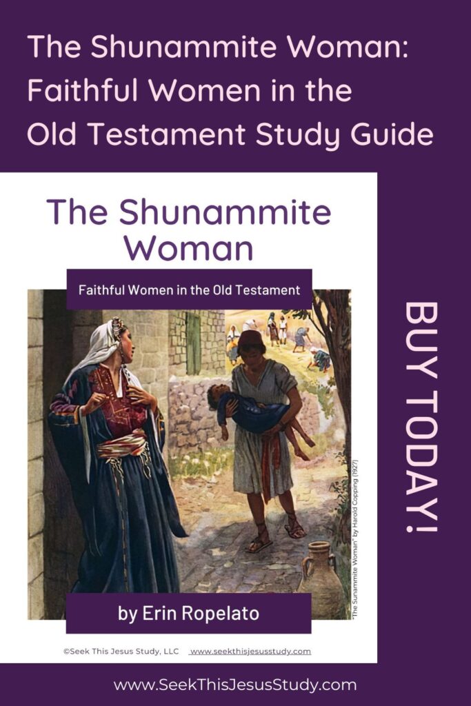 Book cover: The Shunammite Woman—Faithful Women in the Old Testament Study Guide, by Erin Ropelato, on a purple background with an illustration.